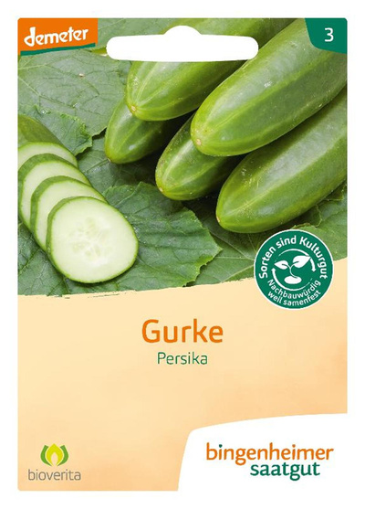 Produktfoto zu Saatgut Gurken Persika