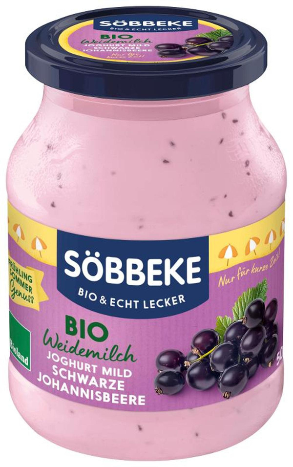Produktfoto zu Joghurt Glas Schwarze Johannisbeere