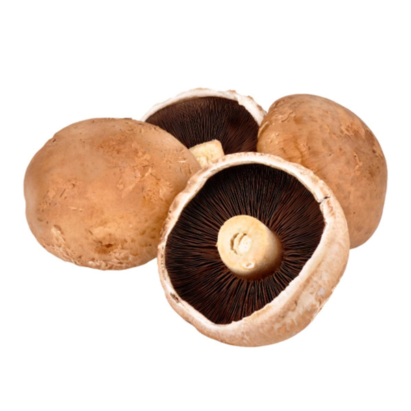 Produktfoto zu Riesen-Champignons Portobello