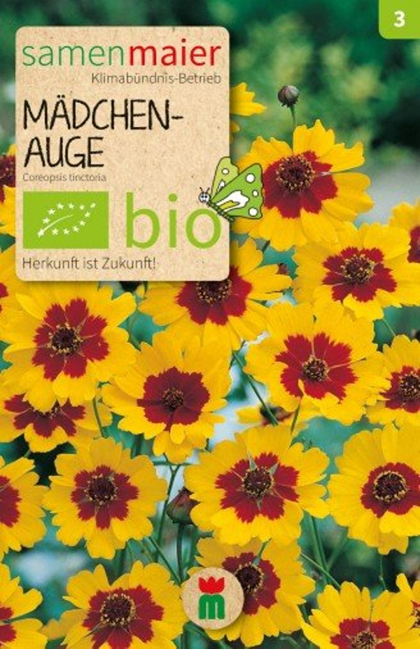 Produktfoto zu Saatgut Mädchenauge