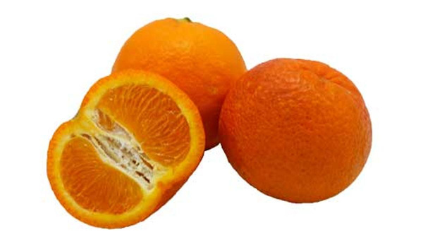Produktfoto zu Blutclementine Tacle