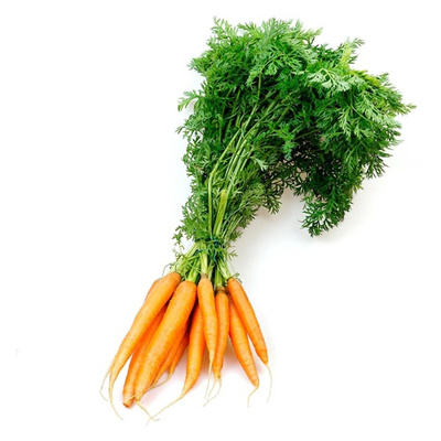 Produktfoto zu Karotten im Bund