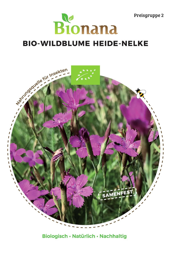Produktfoto zu Saatgut Heide-Nelke