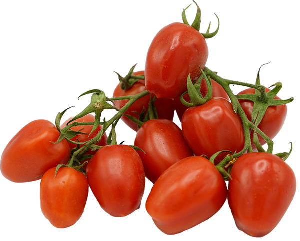 Produktfoto zu Tomaten Cocktail Picadilly 500 g