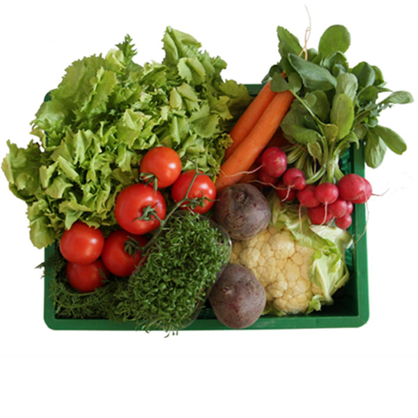 Querbeetkiste Family