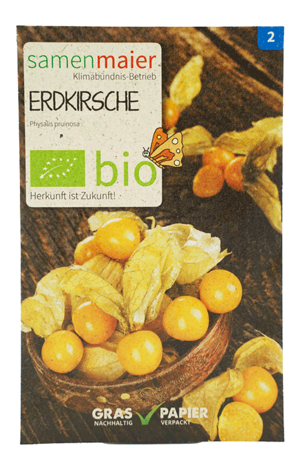 Produktfoto zu Saatgut Erdkirsche (Physalis)