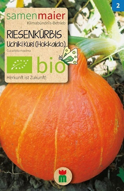 Produktfoto zu Saatgut Kürbis Uchiki Kuri