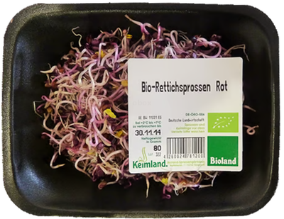 Produktfoto zu Sprossen RETTICH ROT