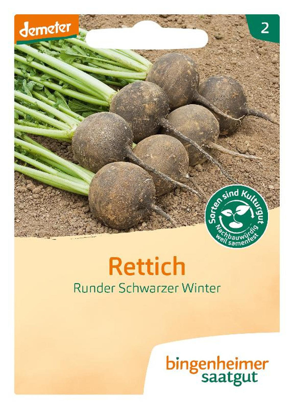 Produktfoto zu Saatgut Rettich Runder Schwarzer Winter