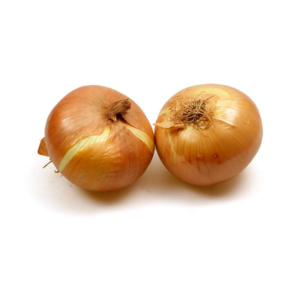 Produktfoto zu Gemüsezwiebel frisch