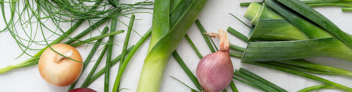 KI generiert: Das Bild zeigt mehrere Pastinaken, frische und in Scheiben geschnittene, auf einer hellen Holzoberfläche. Daneben liegen einige grüne Blätter zur Dekoration.