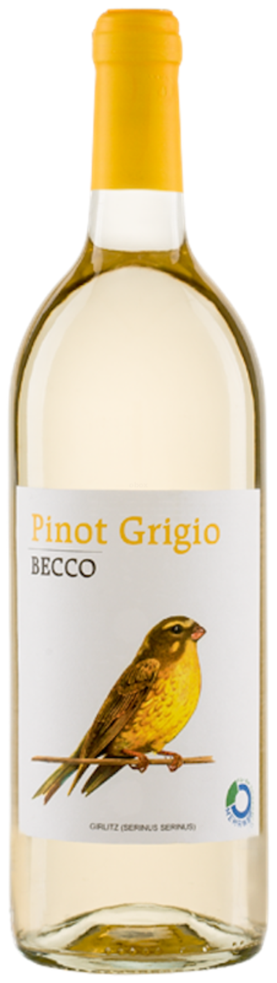 Produktfoto zu Pinot Grigio