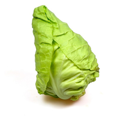 Produktfoto zu Spitzkraut - neue Ernte