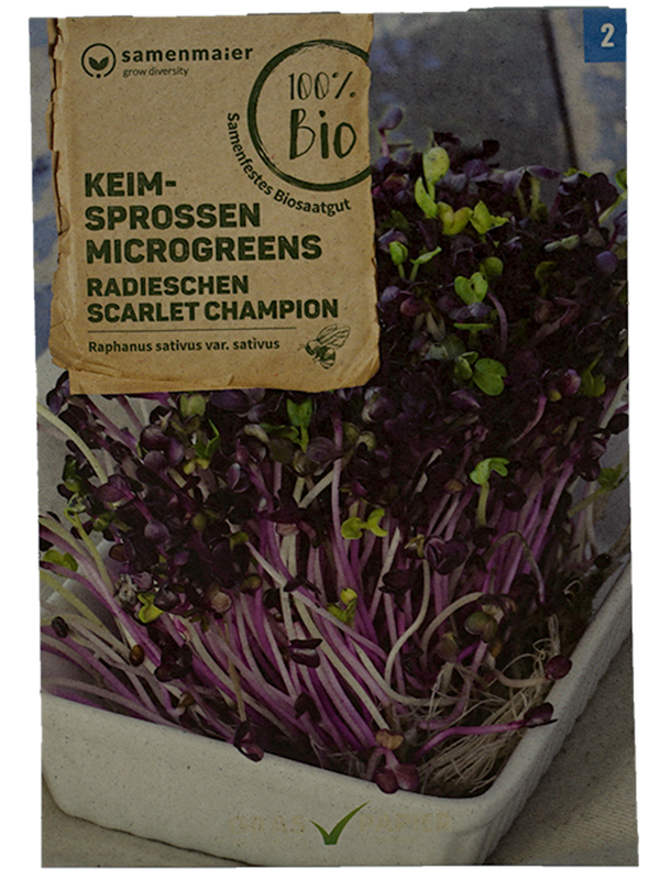 Produktfoto zu Saatgut Keimsprossen Radieschen