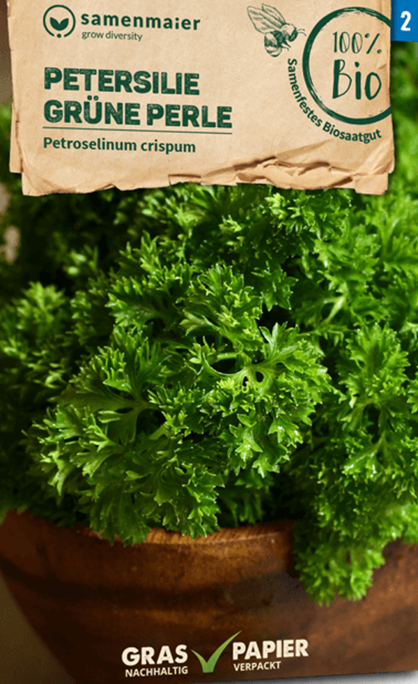 Produktfoto zu Saatgut Petersilie Grüne Perle