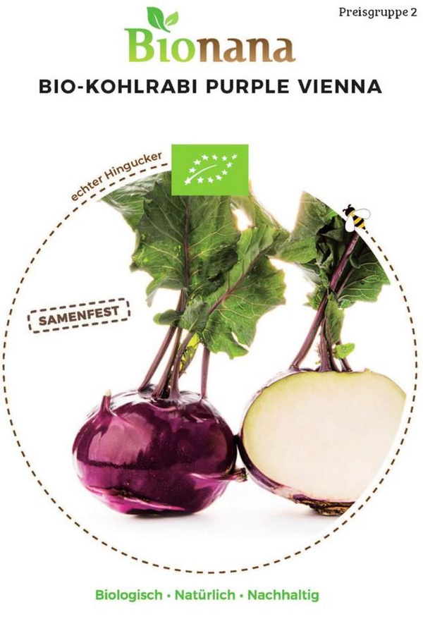Produktfoto zu Saatgut Kohlrabi Purple Vienna