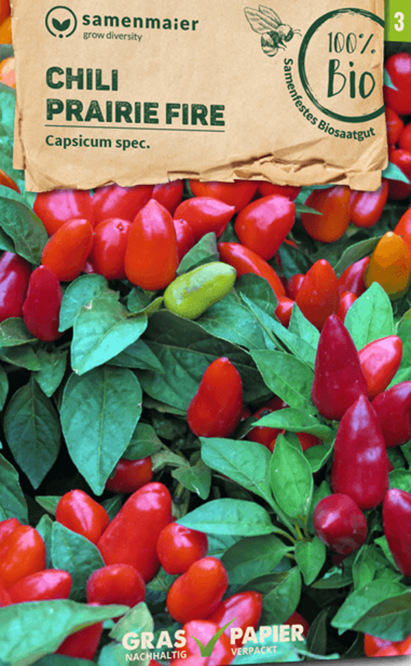 Produktfoto zu Saatgut Chili Prairie Fire