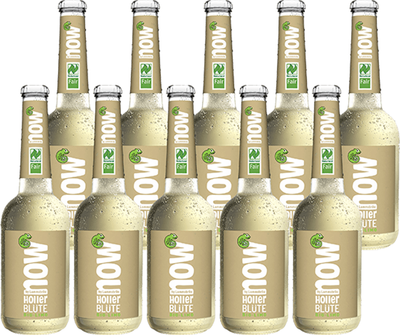 Produktfoto zu Now Holler Blüte 10 x 0,33 l