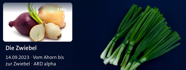 KI generiert: Das Bild zeigt einen Podcast-Player mit der Folge "Noch mehr knackiges Wurzelgemüse" aus der Serie "BIO für die Ohren". Auf der linken Seite sind Wurzeln im Boden zu sehen.