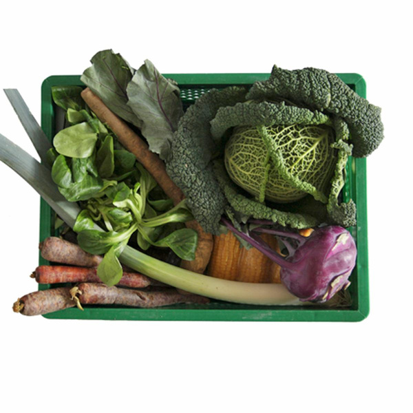 Regio-Gemüsekiste Family