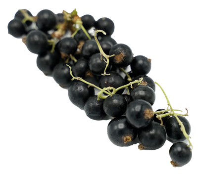 Produktfoto zu Schwarze Johannisbeeren 125 g