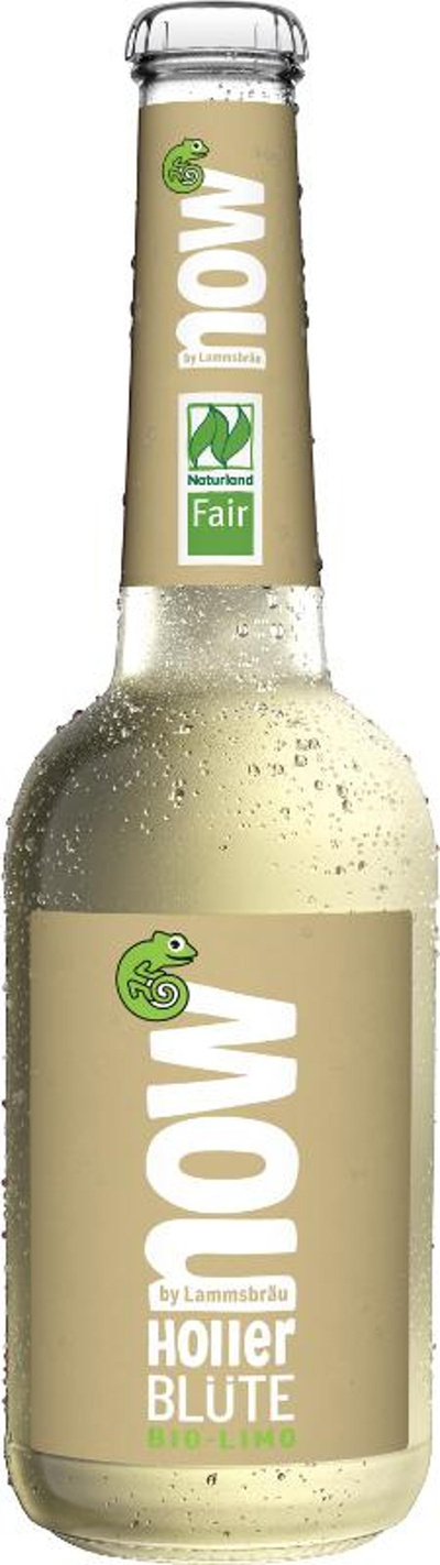 Produktfoto zu Now Holler Blüte 0,33 Liter