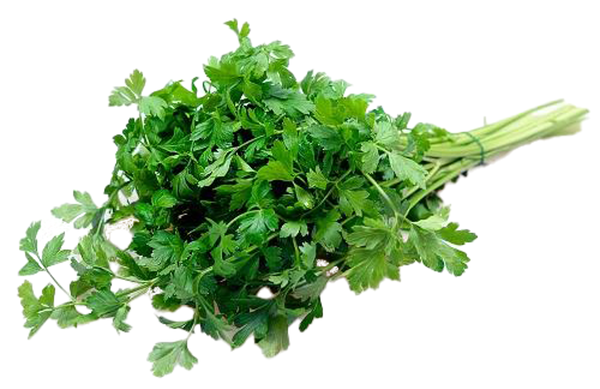 Produktfoto zu Petersilie glatt Bund