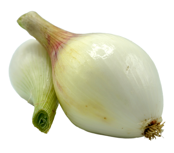 Produktfoto zu Gemüsezwiebel frisch