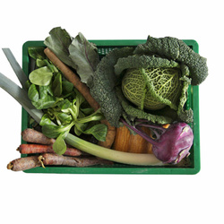 Produktfoto zu Regio-Gemüsekiste Family