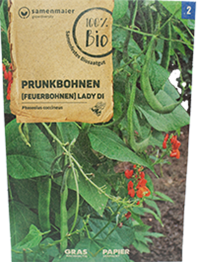 Produktfoto zu Saatgut Prunkbohnen Lady Di