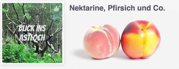 KI generiert: Das Bild zeigt einen Podcast-Player mit der Folge "Noch mehr knackiges Wurzelgemüse" aus der Serie "BIO für die Ohren". Auf der linken Seite sind Wurzeln im Boden zu sehen.