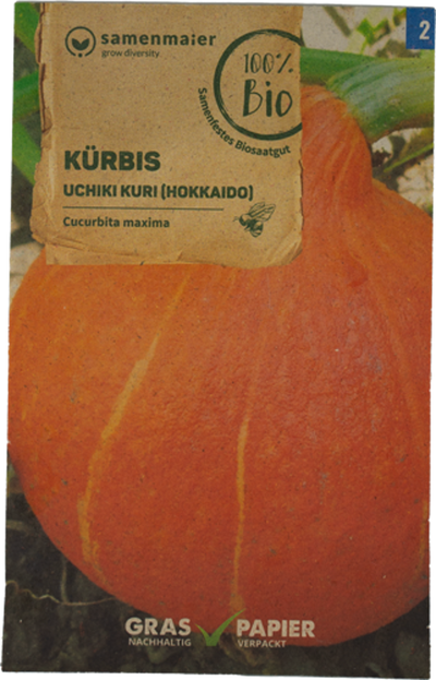 Produktfoto zu Kürbis Uchiki Kuri (Hokkaido)