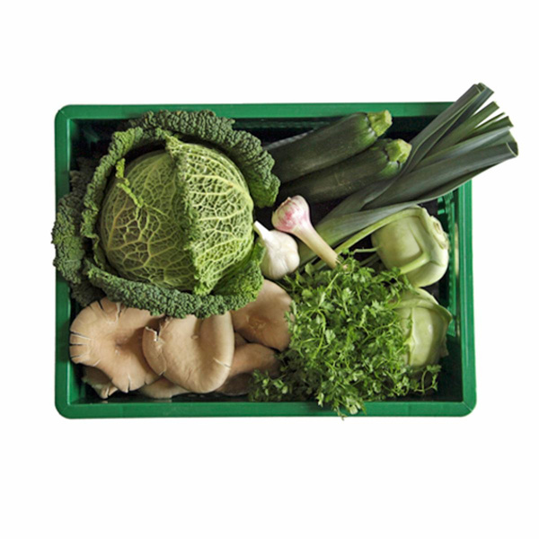 Kochgemüsekiste Family