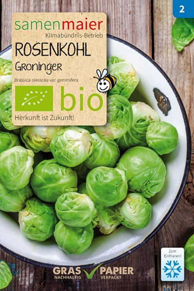 Produktfoto zu Saatgut Rosenkohl Groninger
