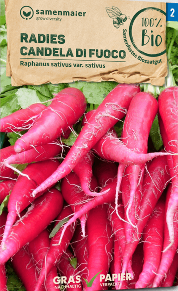 Produktfoto zu Saatgut Radies Candela di Fuoco