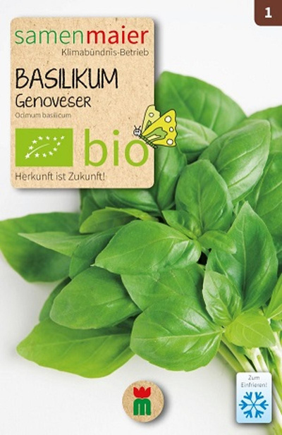 Produktfoto zu Saatgut Basilikum Genoveser