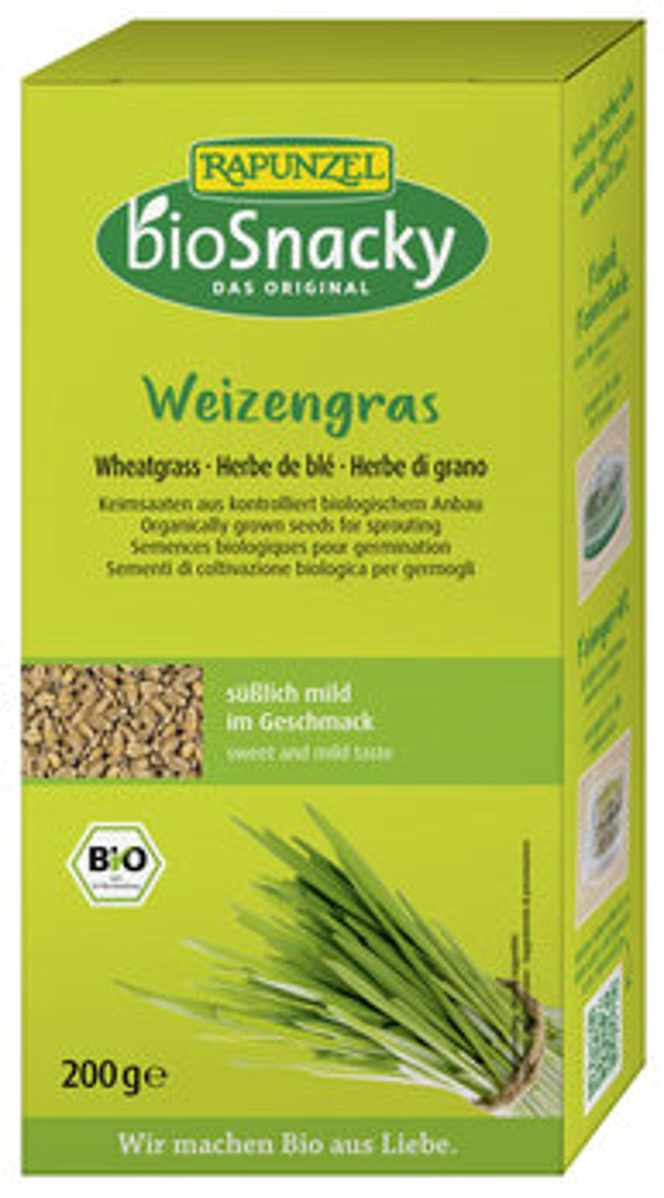 Produktfoto zu Keimsaat Weizengras
