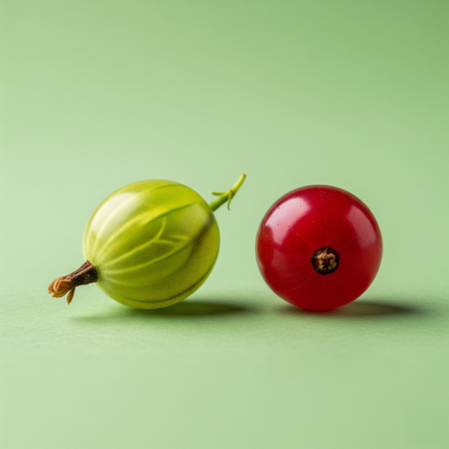 KI generiert: Zwei Beeren, eine grüne Stachelbeere und eine rote Johannisbeere, vor einem grünen Hintergrund.