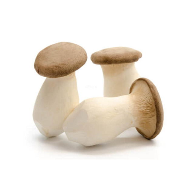 Produktfoto zu Kräuterseitlinge 200 g