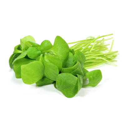 Produktfoto zu Winterpostelein 150 g