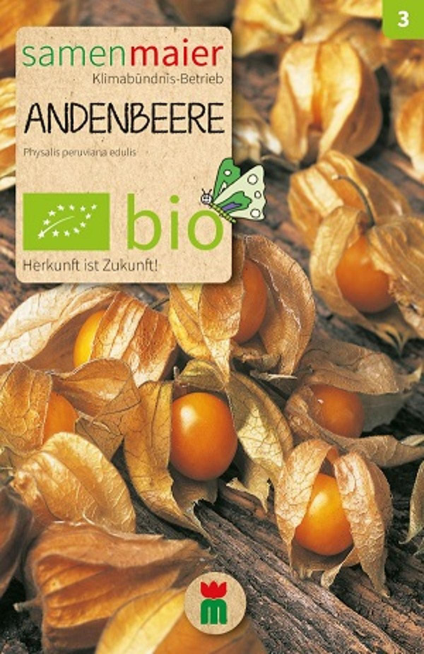 Produktfoto zu Saatgut Andenbeere