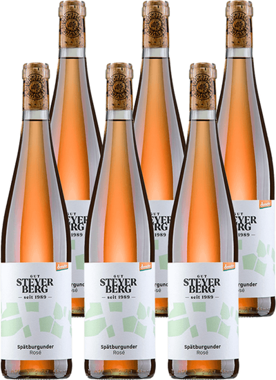 Produktfoto zu Spätburgunder Rosé 6 x 0,75 l