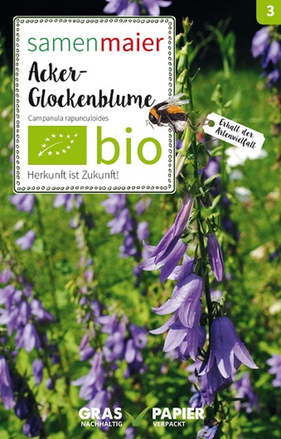 Produktfoto zu Saatgut Acker Glockenblume