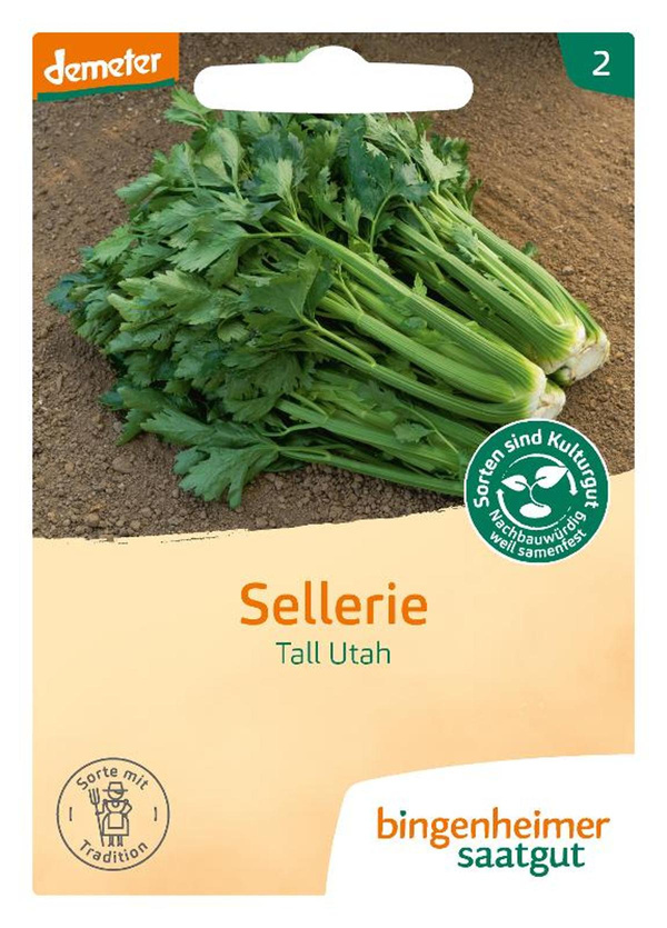 Produktfoto zu Saatgut Sellerie Tall Utah