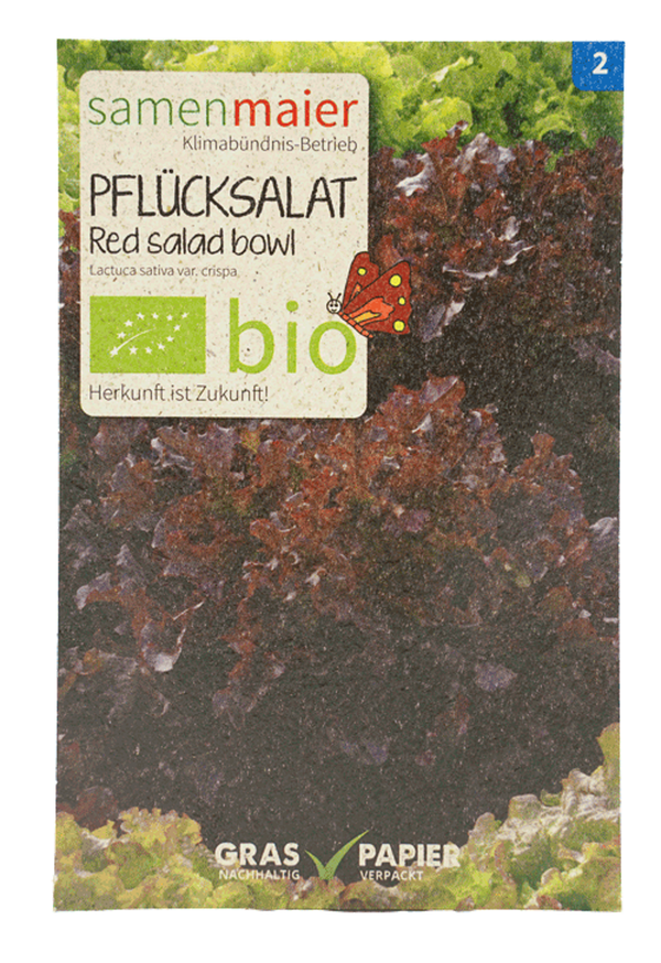 Produktfoto zu Saatgut Pflücksalat Red salad bowl