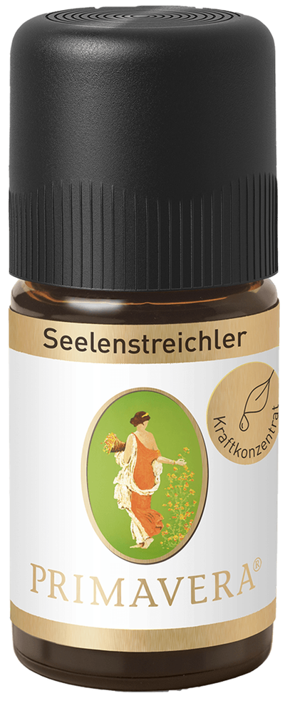 Produktfoto zu Kraftkonzentrat Seelenstreichler
