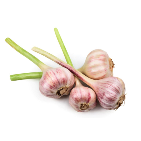 Produktfoto zu Knoblauch frisch