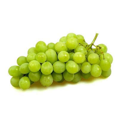Produktfoto zu Traube weiß kernlos