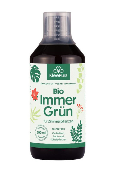 Produktfoto zu Immer Grün für Zimmerpflanzen
