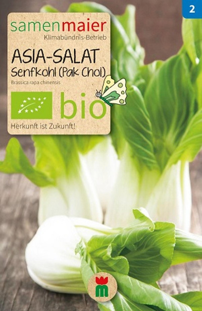 Produktfoto zu Saatgut Asia-Salat Senfkohl